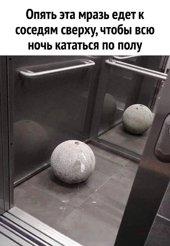 Опять эта мразь едет к соседям сверху чтобы всю ночь кататься по полу