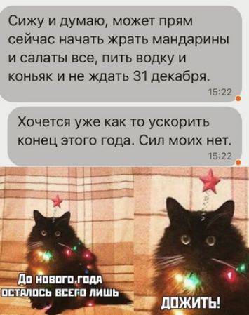 Сижу и думаю может прям сейчас начать жрать мандарины и салаты все пить водку и коньяк и не ждать 31 декабря 5 Хочется уже как то ускорить конец этого года Сип моих нет
