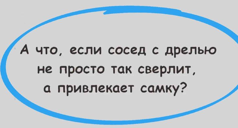 А что если сосед дрелью не просто так сверлит привлекает самку