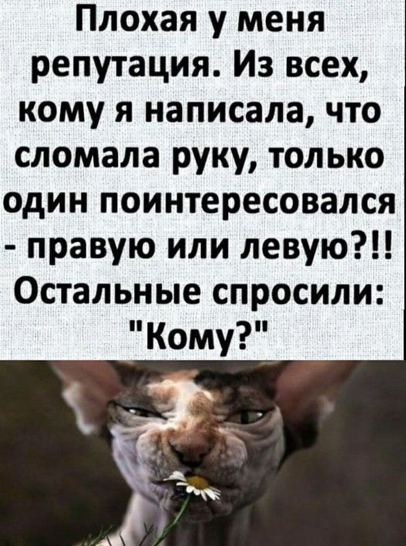 Плохая у меня репутация Из всех кому я написала что сломала руку только один поинтересовался правую или левую Остальные спросили кому