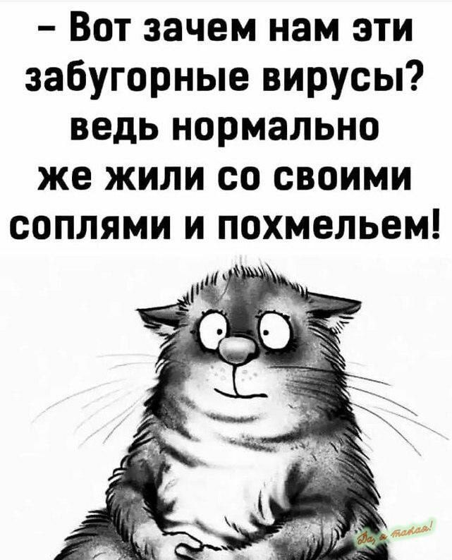 Вот зачем нам эти забугорные вирусы ведь нормально же жили со своими соплями и похмельем