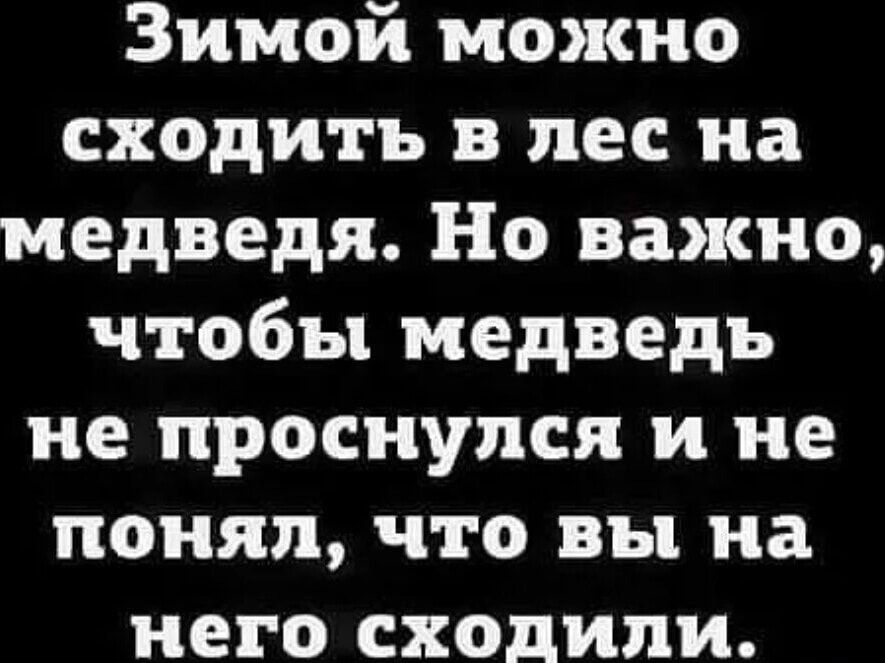 Зимой можно сходить в лес на медведя Но важно чтобы медведь не проснулся и не понял что вы на него сходили