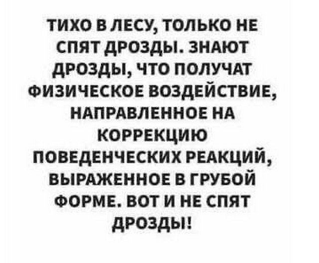 тихо в лесу только не спят дрозды зндют дрозды что получит Физическое воздвйствин ндпмвлвннон нд коррвкцию поидвнчнских рыкций вымжвннов в грувой ФОРМЕ вот и не спят дрозды