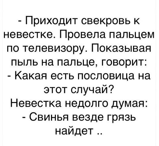 Приходит свекровь к невестке Провела пальцем по телевизору Показывая пыль на пальце говорит Какая есть пословица на этот случай Невестка недолго думая Свинья везде грязь найдет