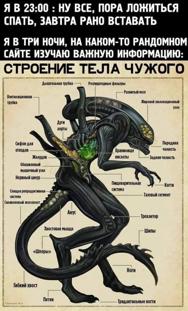Я В 2300 НУ ВСЕ ПОРА ЛОЖИТЬСЯ СПАТЬ ЗАВТРА РАНО ВСТАВАТЬ Я В_ ТРИ Н0ЧИ НА НАНОМ ТП РАНдОМНОМ ЕАИТЕ ИЗУЧАЮ ВАЖНУЮ ИНФОРМАЦИЮ строение ТЕЛА чужого Аш ппц имм г _ или ппшпа тп пишиш им