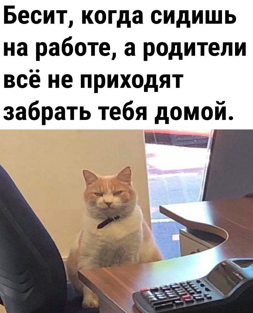 Бесит когда сидишь на работе а родители всё не приходят забрать тебя домой