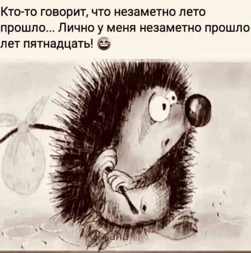 Ктото говорит что незаметно лето прошло Лично у меня незаметно прошло лет пятнадцать