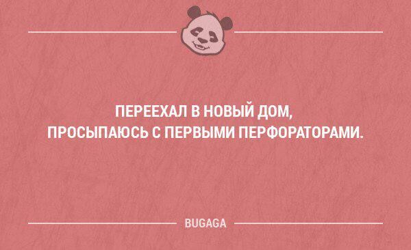 ПЕРЕЕХАЛ В НОВЫЙ дом ПРОСНПАЮВЬ ПЕРВЫМ ПЕРФОРППРШИ иным