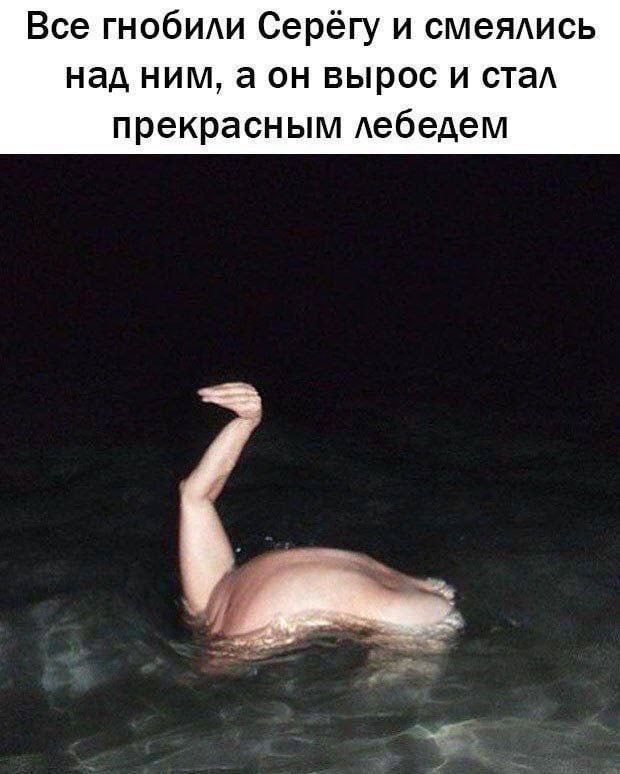 Все гнобИАи Серёгу и смеялись над ним а он вырос и ста прекрасным Аебедем
