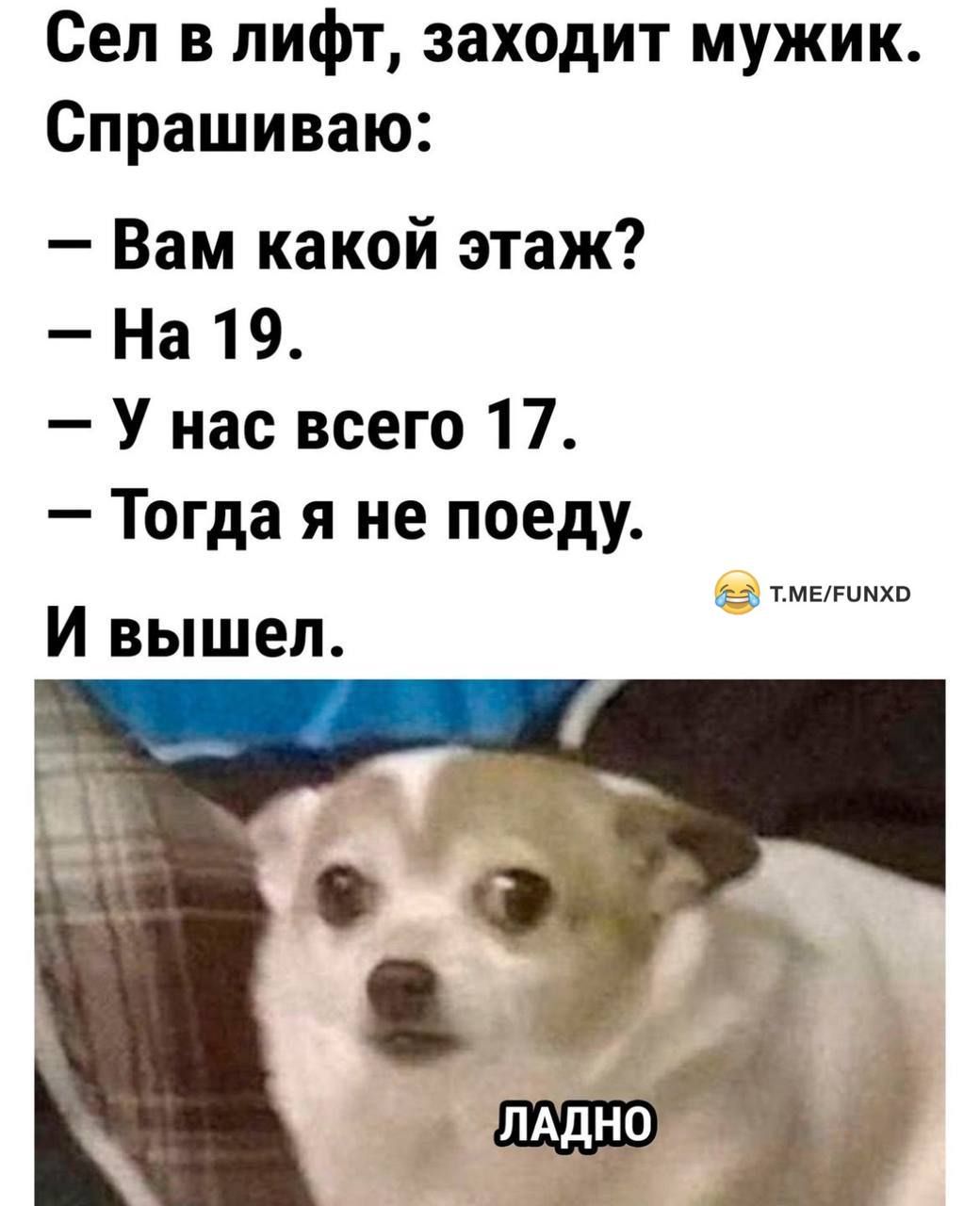 Сел в лифт заходит мужик Спрашиваю Вам какой этаж На 19 У нас всего 17 Тогда я не поеду И вышел