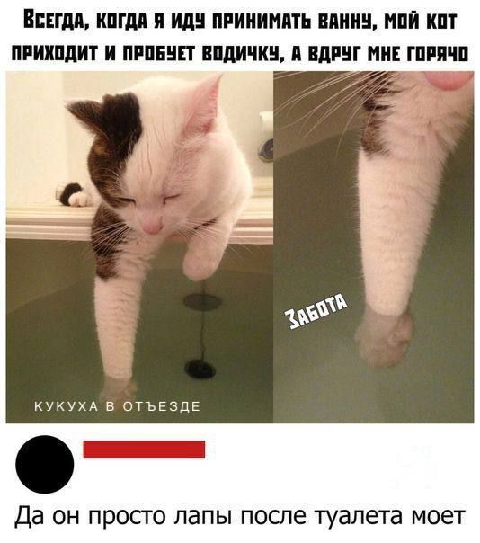 ВПП КШМ И ИЛИ ПРИИИИПТЬ пиич НЕЙ ШП ПРИШЛИТ И ПРПЕЦП иди пин ИРШ ГПРПШ укухь в птыззпп Да ОН ПРОСТО папы ПОСПе туалета моет