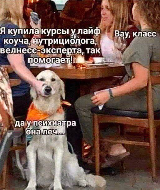 Щ Ы я купила курсы улайф 9уча иугрицибдога