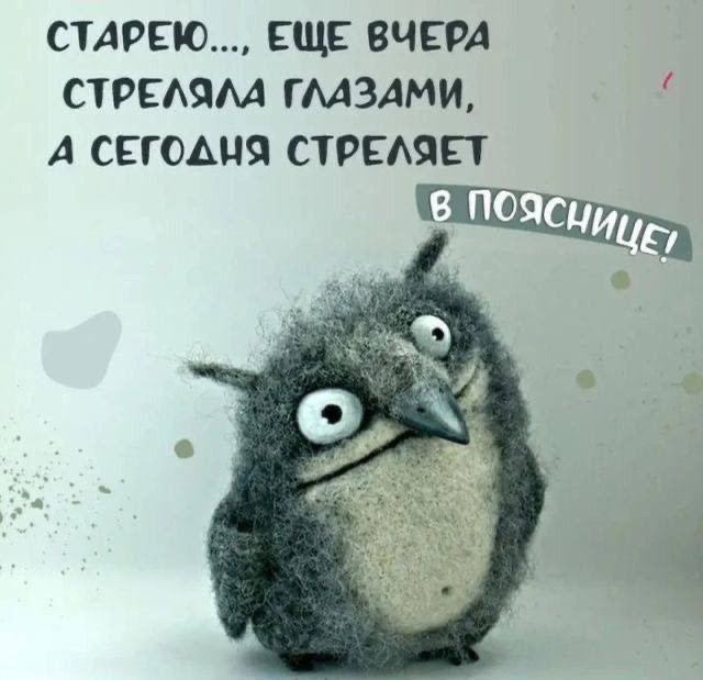 СТАРЕЮ ЕЩЕ ВЧЕРА СТРЕАЯМ ГМЗАМИ А СЕГОАЦЯ СТРЕАЯЕТ