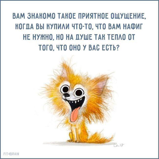 ВАМ ЗНАИПМО ТАКОЕ ПРИЯТНПЕ ОЩУШЕНИЕ ИПГЛА ВЫ ИУПИАИ ЧТО ТО ЧТО БАМ НАШИГ НЕ НУЖНО ИО НА ДУШЕ ТАИ ТЕПАО ОТ ТОГО ЧТО ОКП У ВАС ЕСТЬ