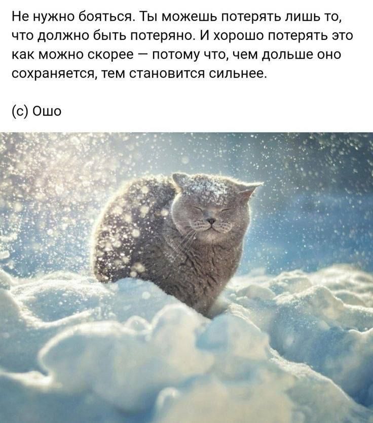 Не нужно бояться Ты можешь потерять лишь то что должно быть потеряна и хорпшо потерять это как можно скорее пптому что чем дальше онп сохраняется тем стаипвится сильнее