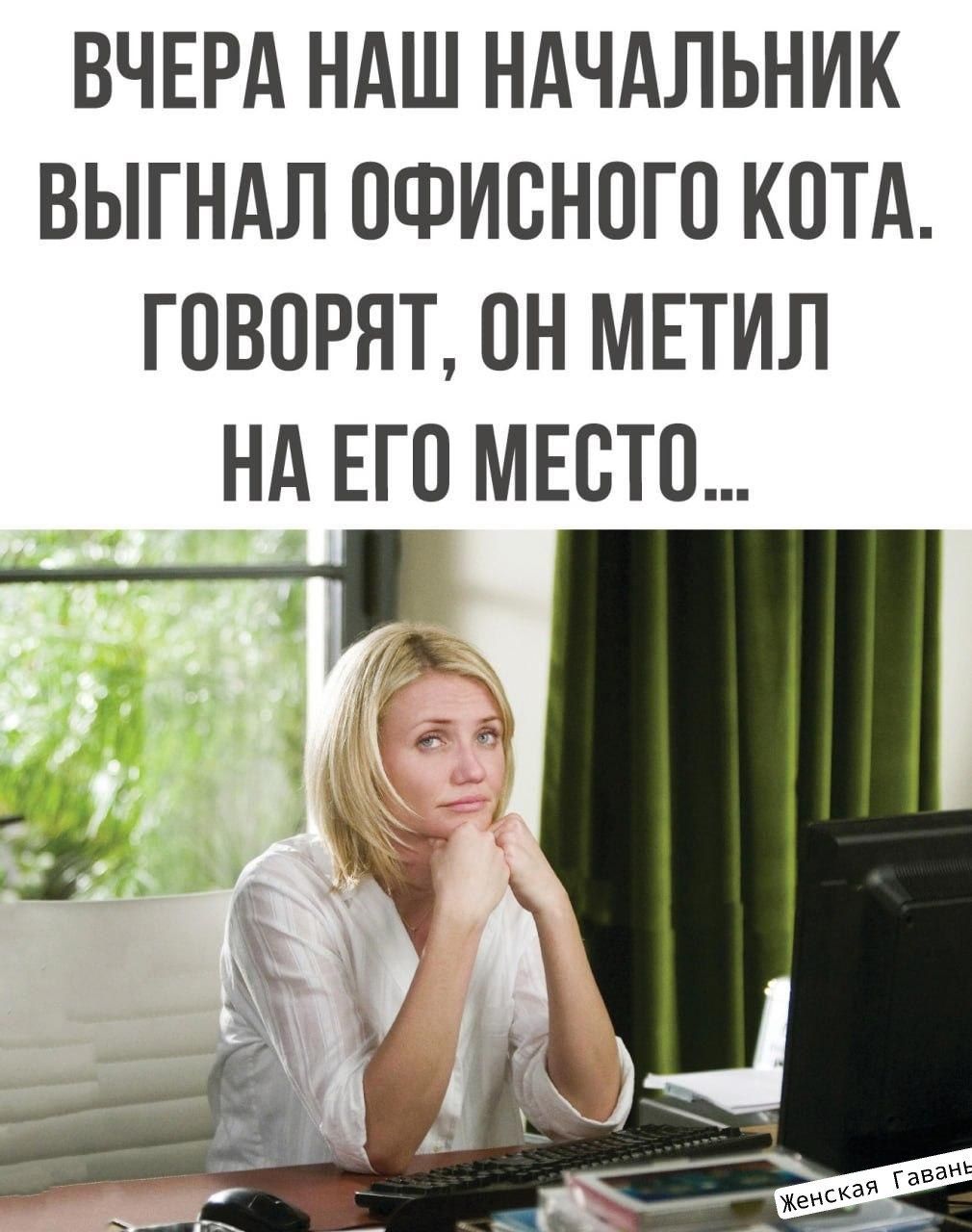 ВЧЕРА НАШ НАЧАЛЬНИК ВЫГНАЛ 0ФИСН0Г0 КОТА Г080РЯТ ОН МЕТИЛ
