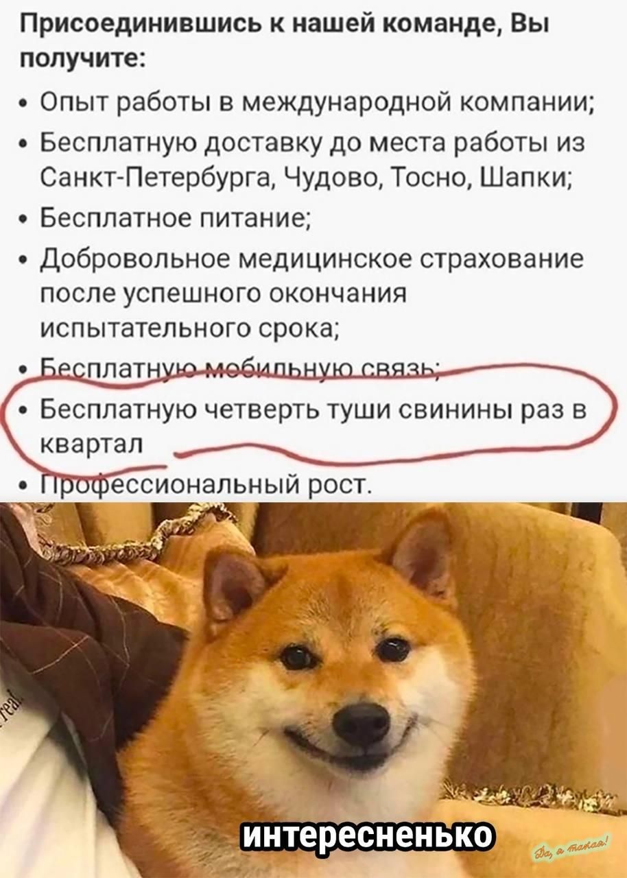 Присоединившись к нашей команде Вы получите Опыт работы в международной компании Бесплатную доставку до места работы из Санкт Петербурга Чудово Тосно Шапки Бесплатное питание добровольное медицинское страхование после успешного окончания испытательного срока Бесплатную четверть ТУШИ СВИНИНЫ раз В Квартап эинтересненько