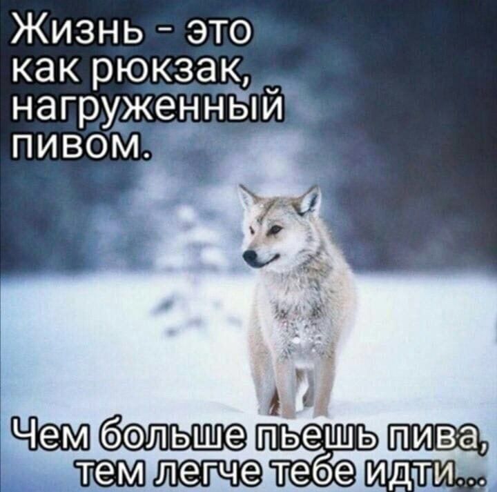 Жизнь это как рюк_з_ад_ нагруженныи Ні пьеш ьшшщ Мтебе