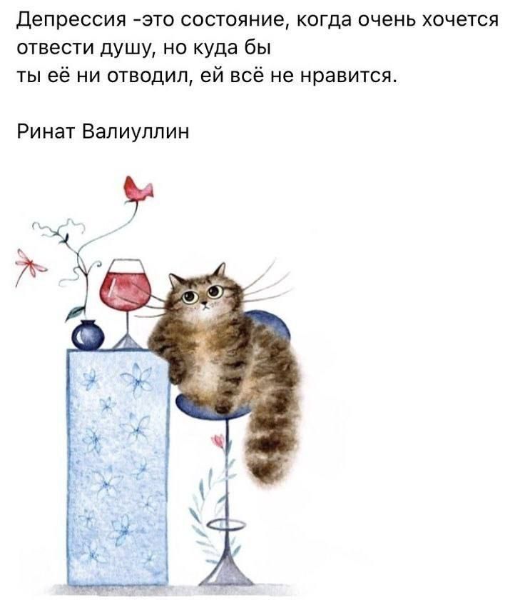 депрессия это состояние когда очень хочется отвести душу но куда бы ты её ни отводил ей всё не нравится Ринат Валиуллин