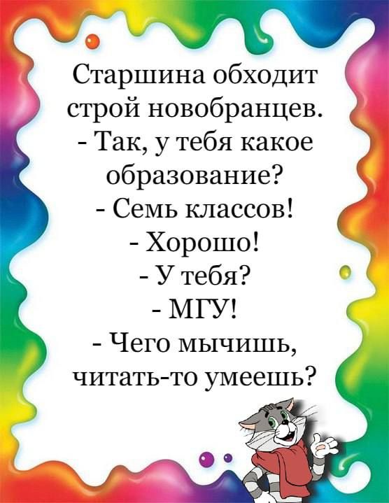 Старшина обходит строй новобранцев Так у тебя какое образование Семь классов Хорошо У тебя МГУ Чего мычишь читать то умеешь