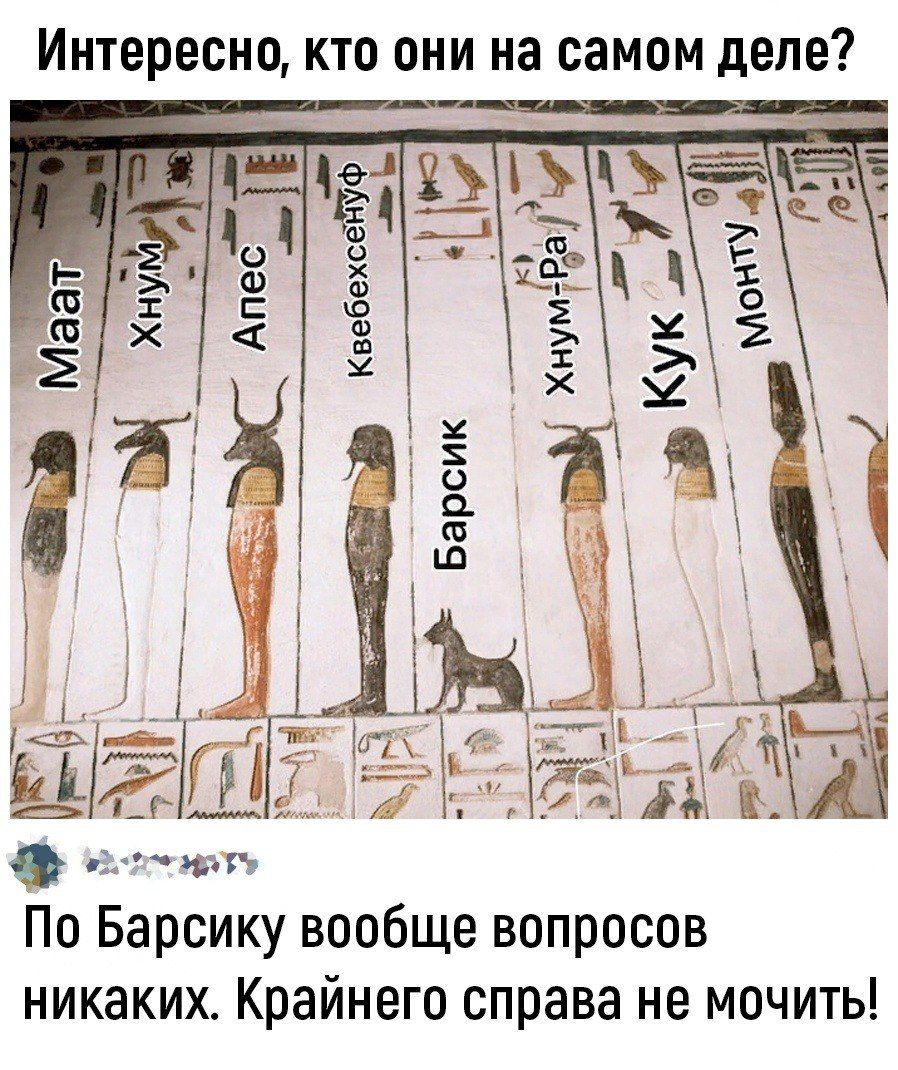 Интересно кто они на самом деле 91 ЁЁ Ё По Барсику вообще вопросов никаких Крайнего справа не мочить