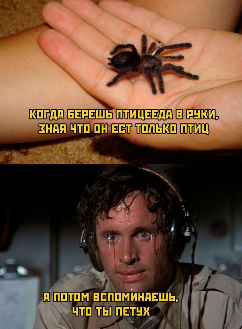 ППТПМ ВЕППМИНПЕШЬ чтпЁЙаптЁтнх