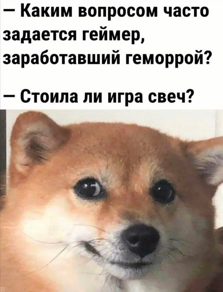 Каким вопросом часто задается геймер заработавший геморрой Стоила пи игра свеч