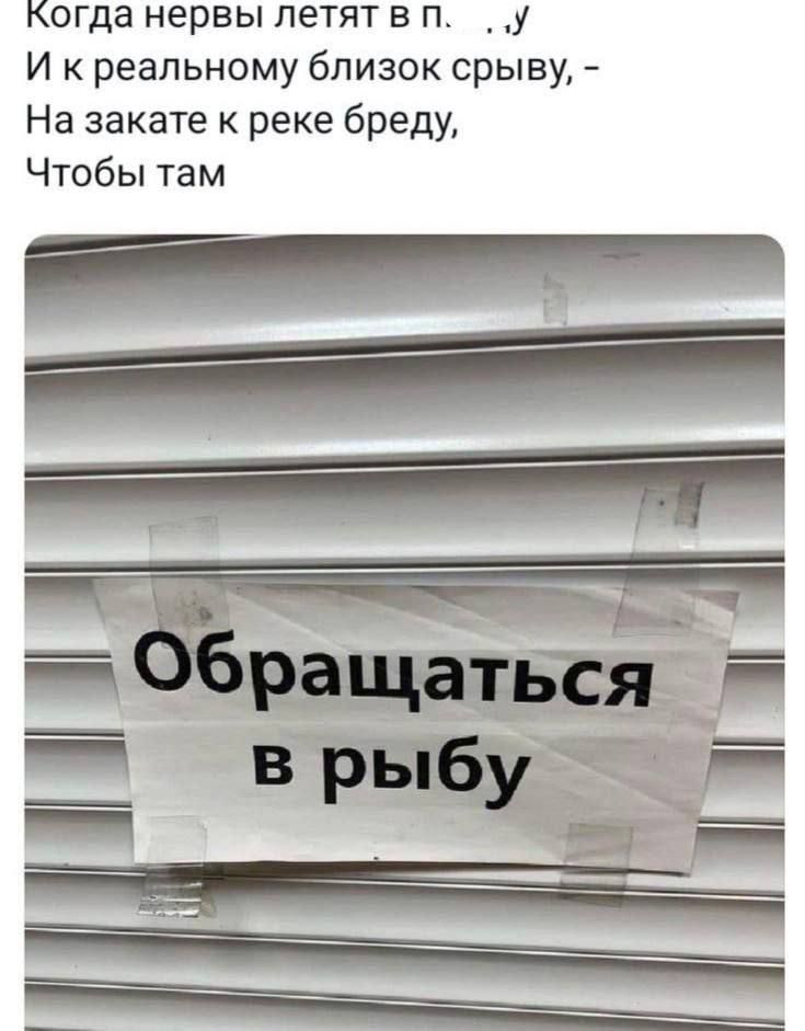 огда нервы летят в п 1 И реальному близок срыву На закате к реке бреду ЧТОбЫ там