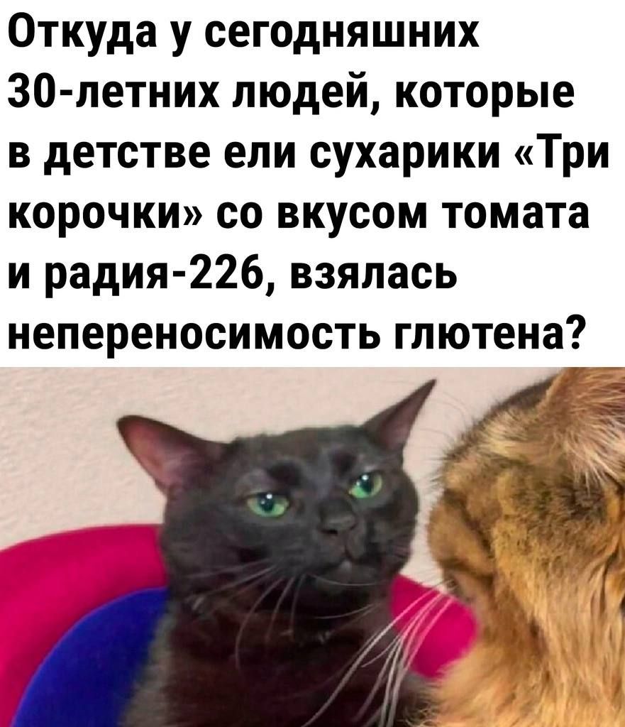 Откуда у сегодняшних 30 летних людей которые в детстве ели сухарики Три корочки со вкусом томата и радия 226 взялась непереносимость глютена