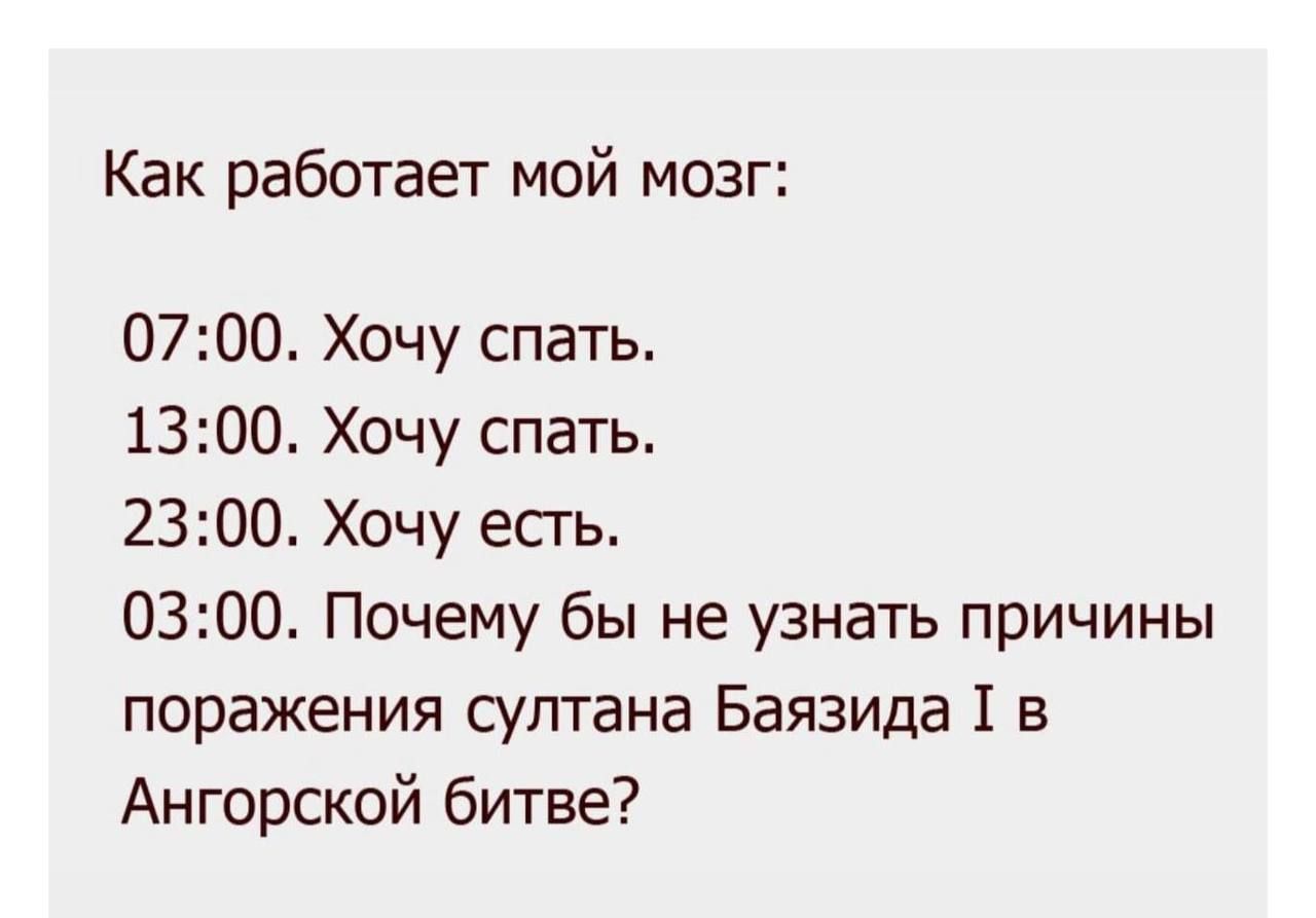 Как работает мой мозг 0700 Хочу спать 1300 Хочу спать 2300 Хочу есть 0300 Почему бы не узнать причины поражения султана Баязида 1 в Ангарской битве