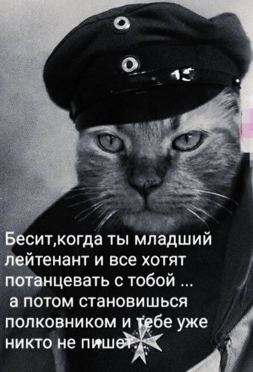 о _ ситкогда ты младшии тйтенант и все хотят потанцевать с тобой а потом становишься полковником и _бе уже никтоне пиш _ А