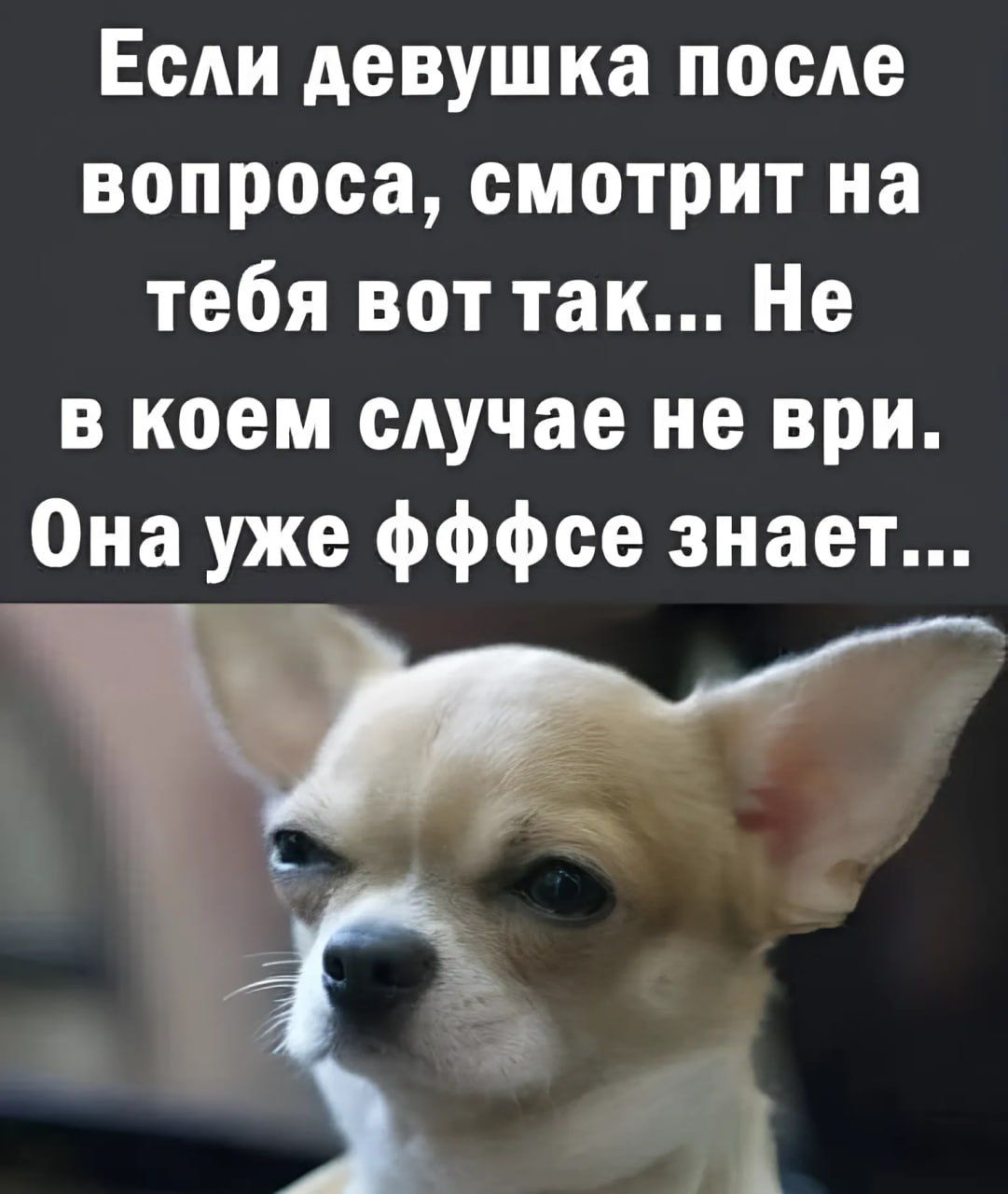 Если девушка после вопроса смотрит на тебя вот так Не в коем случае не ври Она уже фффсе знает