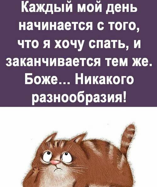 Каждый мой день начинается с того что я хочу спать и заканчивается тем же Боже Никакого разнообразия