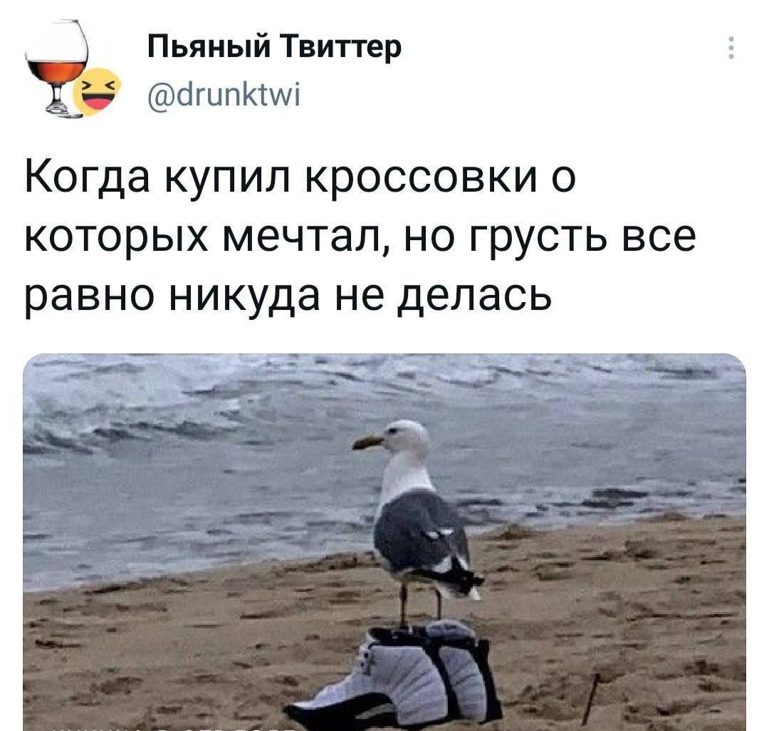 Пьяный Твиттер бшпЮші Когда КУПИЛ КРОССОВКИ О КОТОРЫХ мечтал НО ГРУСТЬ все равно никуда не делась