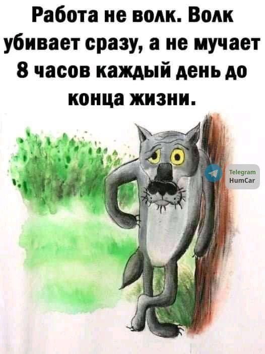 Работа не волк Волк убивает сразу а не мучает 8 часов каждый день до конца жизни