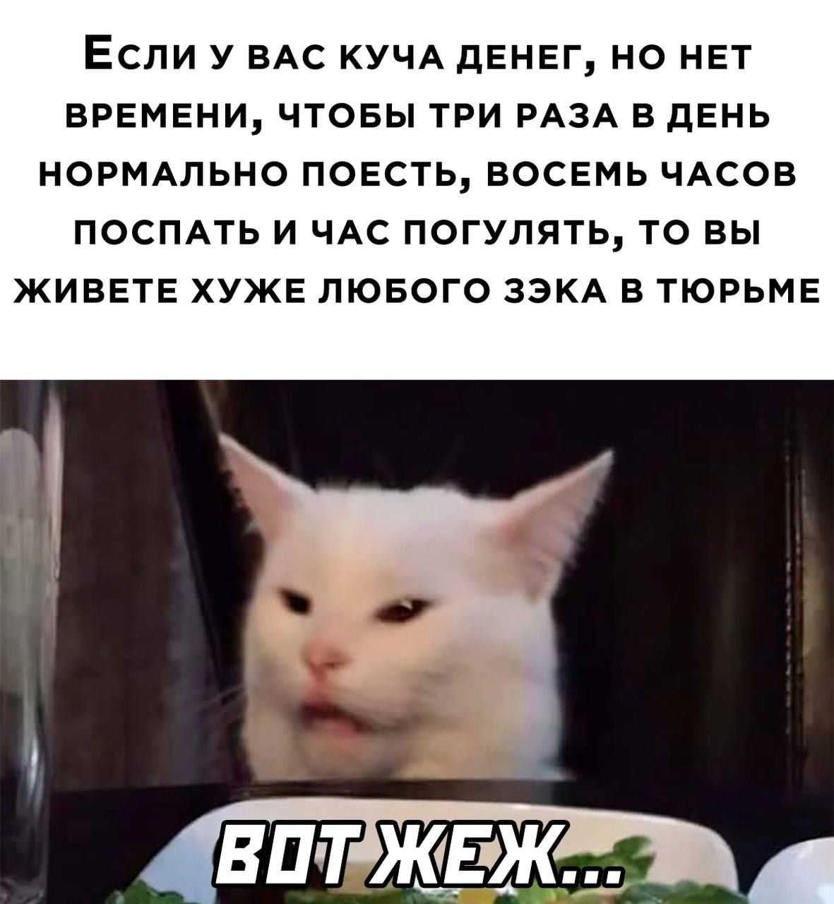 ЕСЛИ У ВАС КУЧА ДЕНЕГ НО НЕТ ВРЕМЕНИ ЧТОБЫ ТРИ РАЗА В дЕНЬ НОРМАЛЬНО ПОЕСТЬ ВОСЕМЬ ЧАСОВ ПОСПАТЬ И ЧАС ПОГУЛЯТЬ ТО ВЫ ЖИВЕТЕ ХУЖЕ ЛЮБОГО ЗЭКА В ТЮРЬМЕ