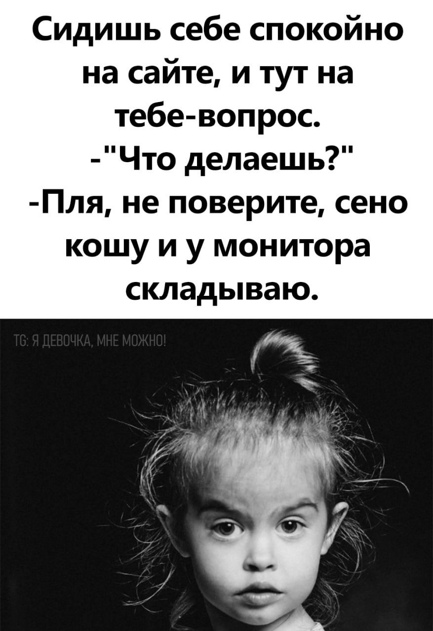 Сидишь себе спокойно на сайте и тут на тебе вопрос Что делаешь Пля не поверите сено кошу и у монитора складываю