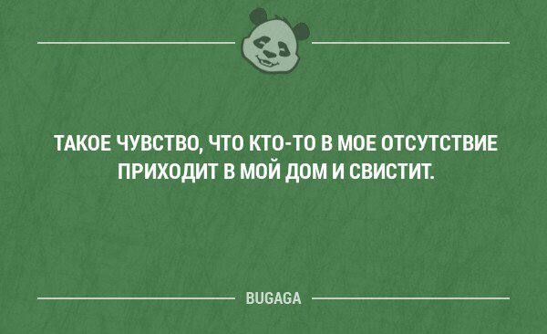 __ тлког чувство что кто то в мо отсутствие приходит в мой дом и свистит нищим