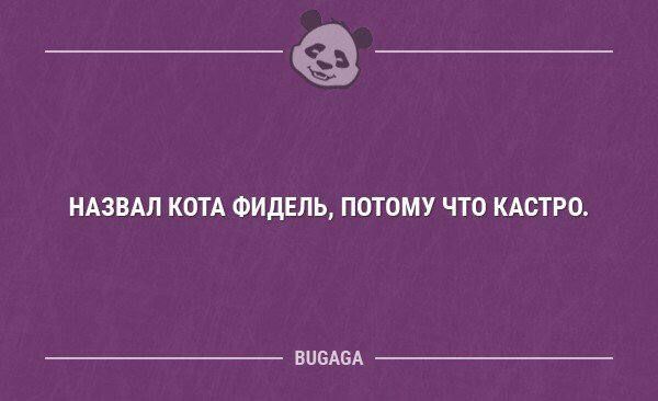 НАЗПАЛ КОТА ФИДЕПЬ ПОТПМУ ЧТО КАСТРО впадал