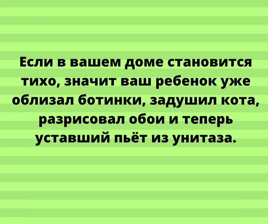 Если в вашем доме становится тихо значит ваш ребенок уже облизал ботинки задушил кота разрисовап обои и теперь уставший пьёт из унитаза