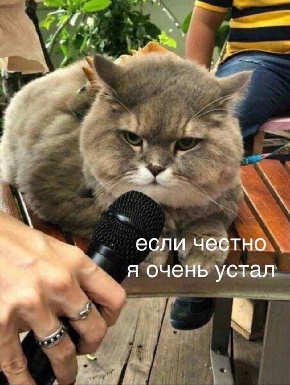 ецпзцч тно яфежэсщ