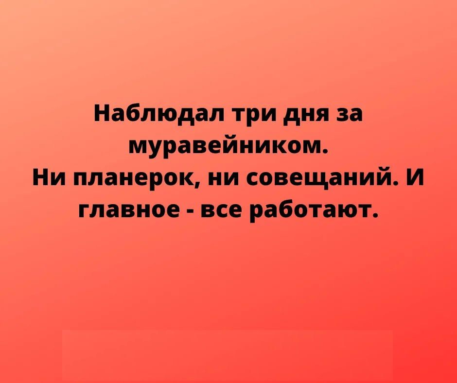 Наблюдал три дня за мурдвейииком Ни планерок ии совещаний И главное все работают