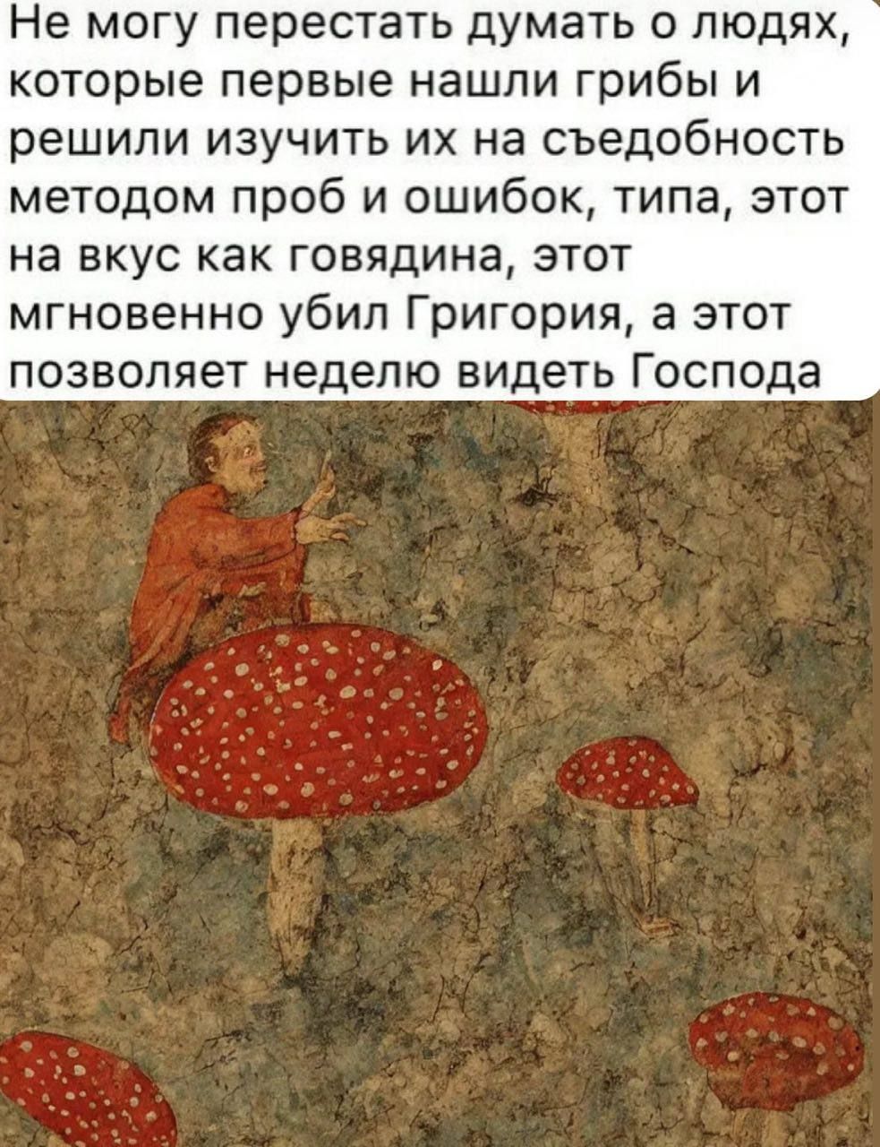 Не могу перестать думать о людях которые первые нашли грибы и решили изучить их на съедобность методом проб и ошибок типа этот на вкус как говядина этот мгновенно убил Григория а этот позволяет неделю видеть Господа
