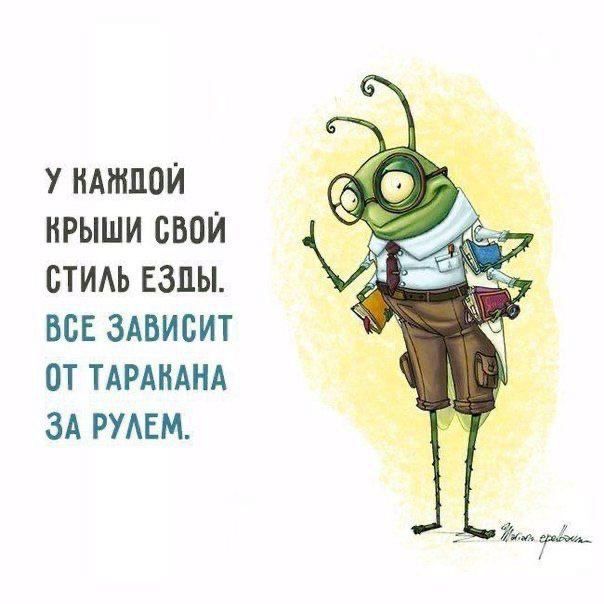 у ндтпои нрыши свои стим езды всЕ ЗАвисит от тиднд зд шем