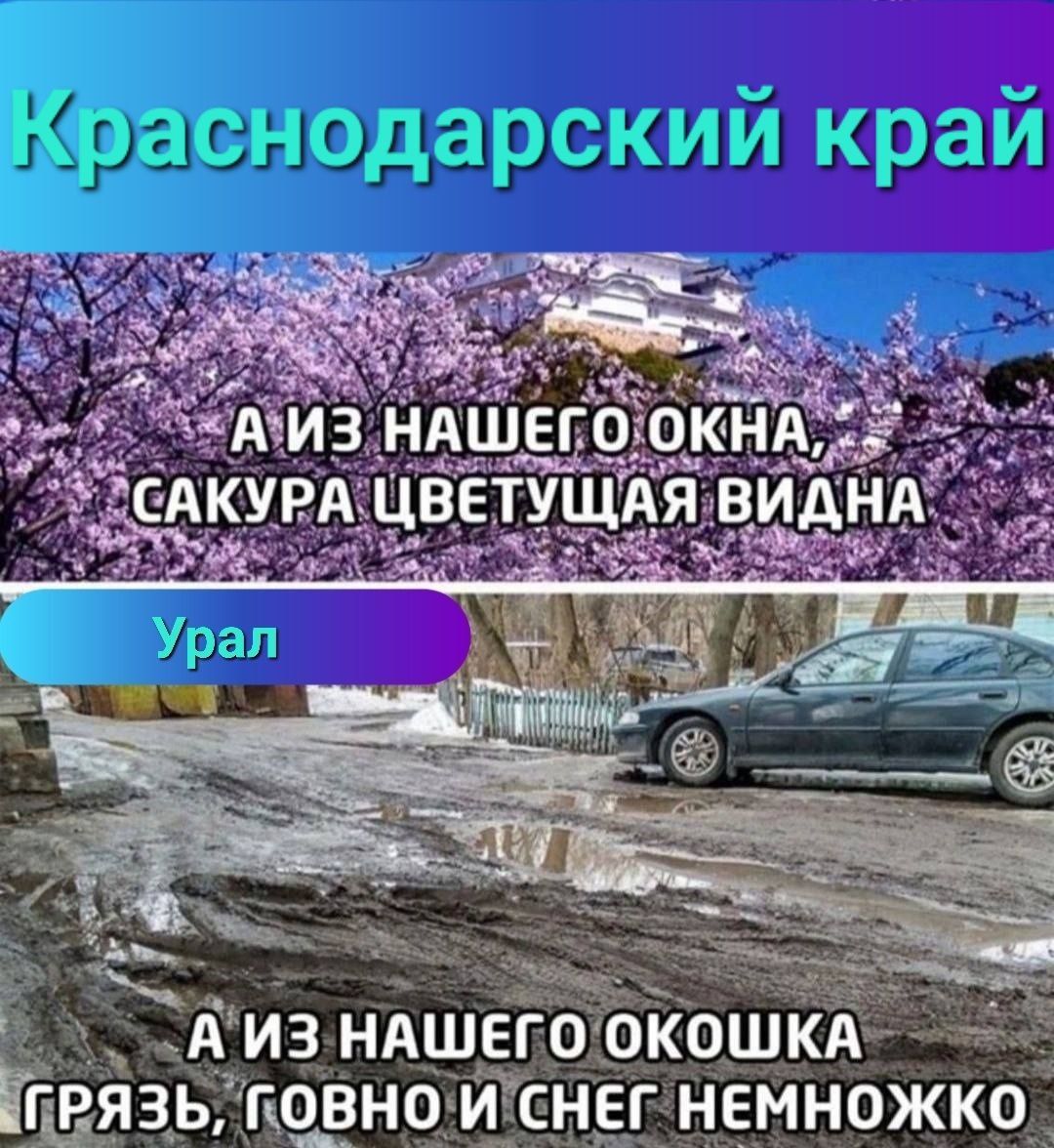 оСАИВ НАШЕГ ПРЯЗБУТОВНОГЙТС
