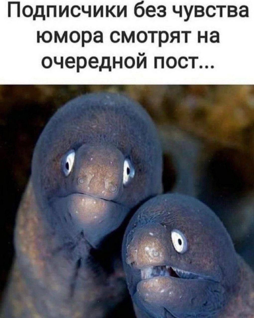 Подписчики без чувства юмора смотрят на очередной пост