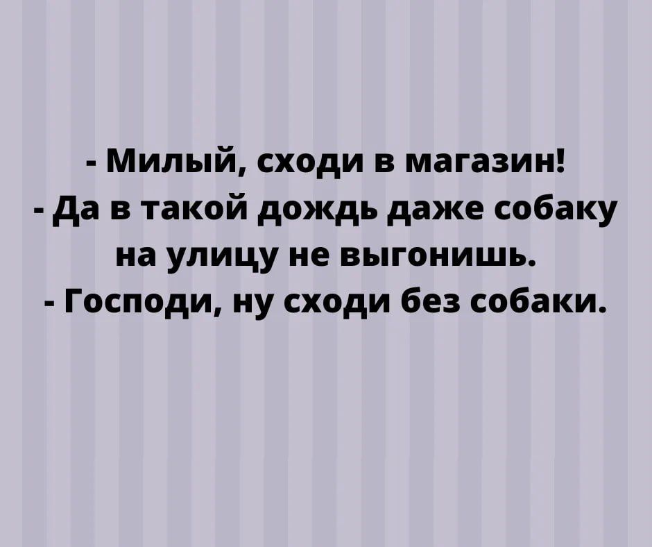 Милый сходи в магазин да в такой дождь даже собаку на улицу не выгоиишь Господи иу сходи без собаки