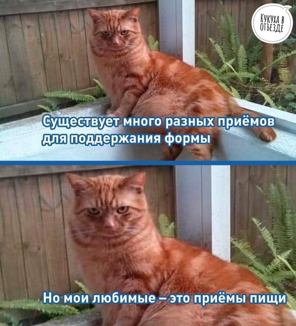 __Но мои любимые это приёмы пи__щи