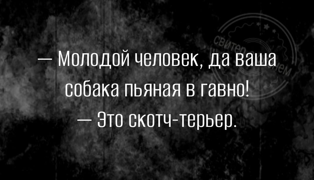 Молодой человек да ваша сабака пьяная в гавно зто скотчтерьер