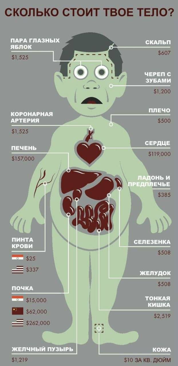 СКОЛЬКОСТОИТТВОЕТЕЛО 7 525 _ _ 51 то д 5500 И 525 51190 5157000 во _ 6 р _ 5509 25 _ 5317 508 515000 За ооо _ 52519 _ пьтоо 219 10 ЗА квлюйм